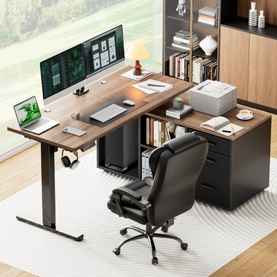 Executive Standing Desk with Storage Cabinet