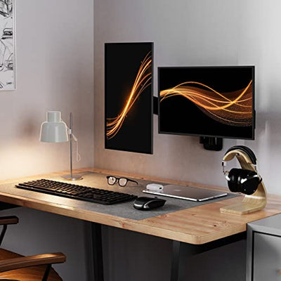 Dual Gas Spring Monitor Mount For 17